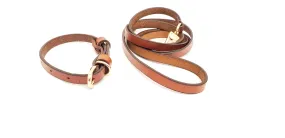 Dog Leash and Collar Set Brown - Small