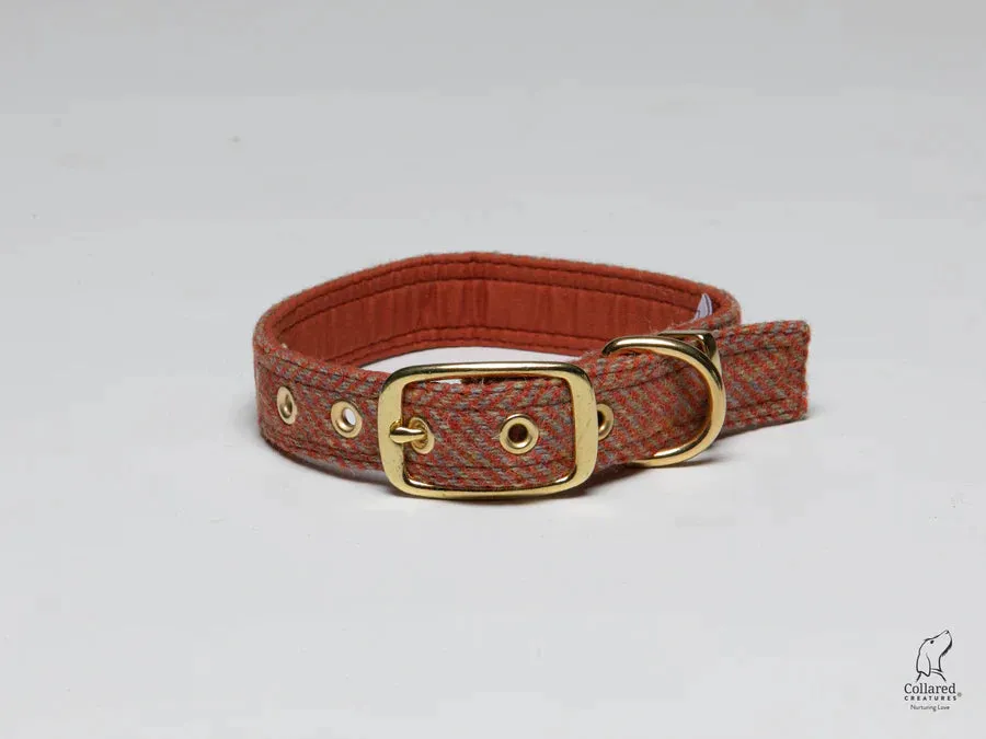 Harris Tweed Mandarin Herringbone Buckle Dog Collar