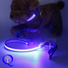 LED, Nylon Dual Fiber Dog Leash and Collar