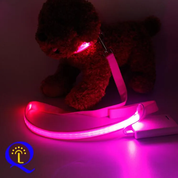 LED, Nylon Dual Fiber Dog Leash and Collar