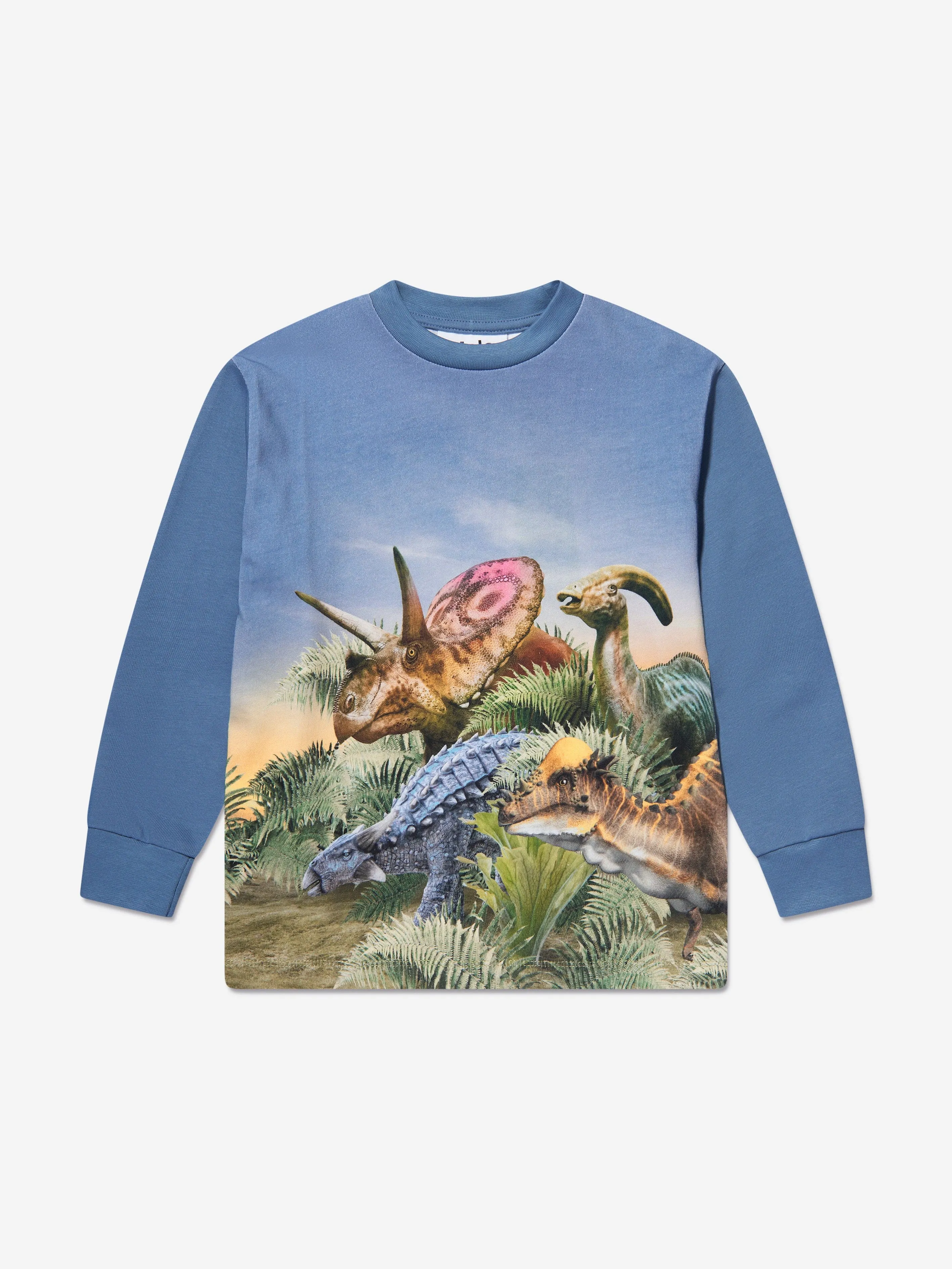 Molo Boys Dino Friends Long Sleeve T-Shirt in Blue