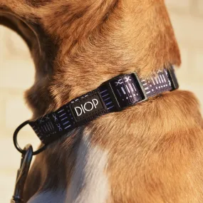 The Mud Black Dog Collar