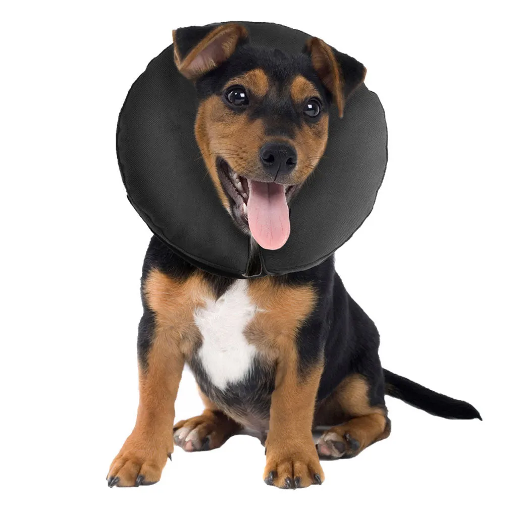 ZenPet ZenCollar Inflatable Recovery Collar for Dogs & Cats