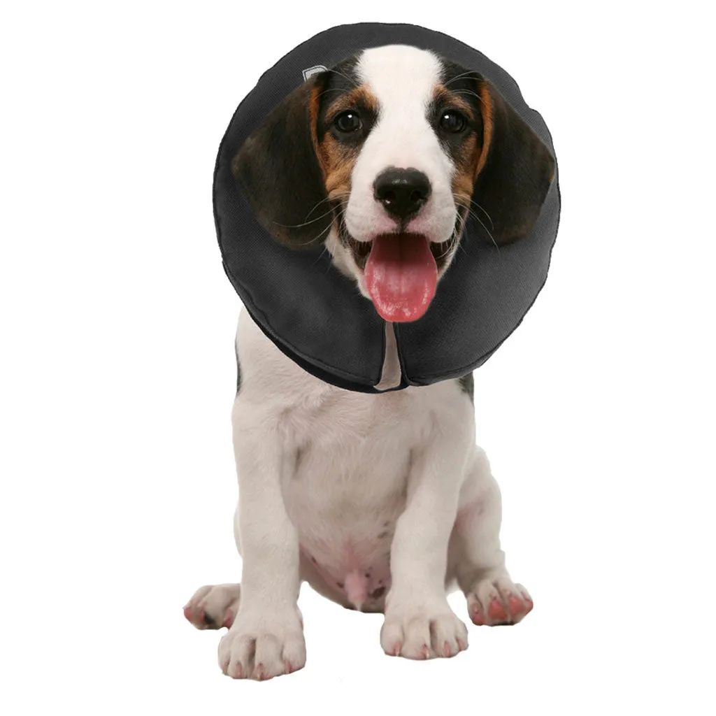 ZenPet ZenCollar Inflatable Recovery Collar for Dogs & Cats