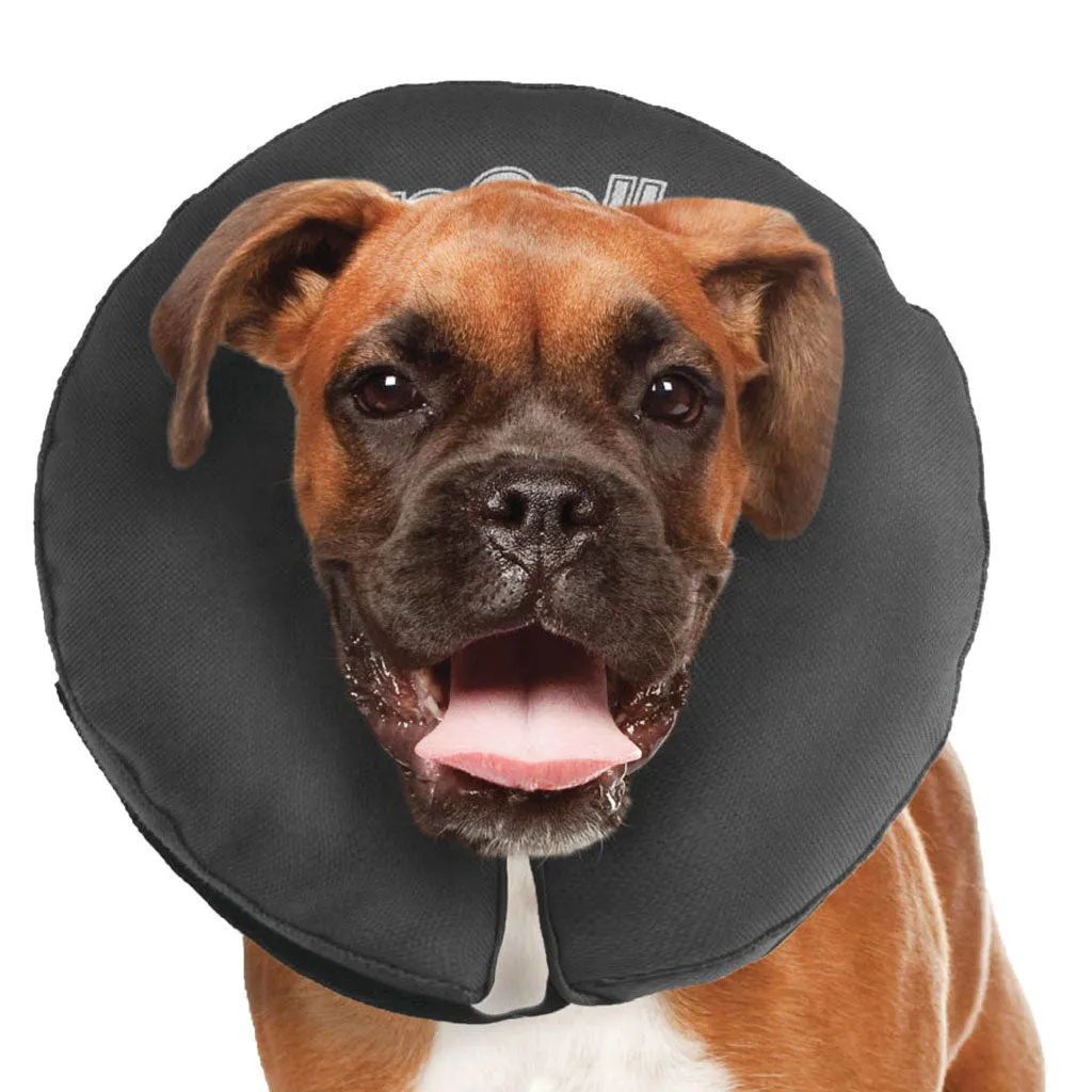 ZenPet ZenCollar Inflatable Recovery Collar for Dogs & Cats